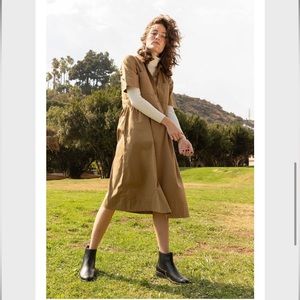 Everlane Parklet Shirtdress